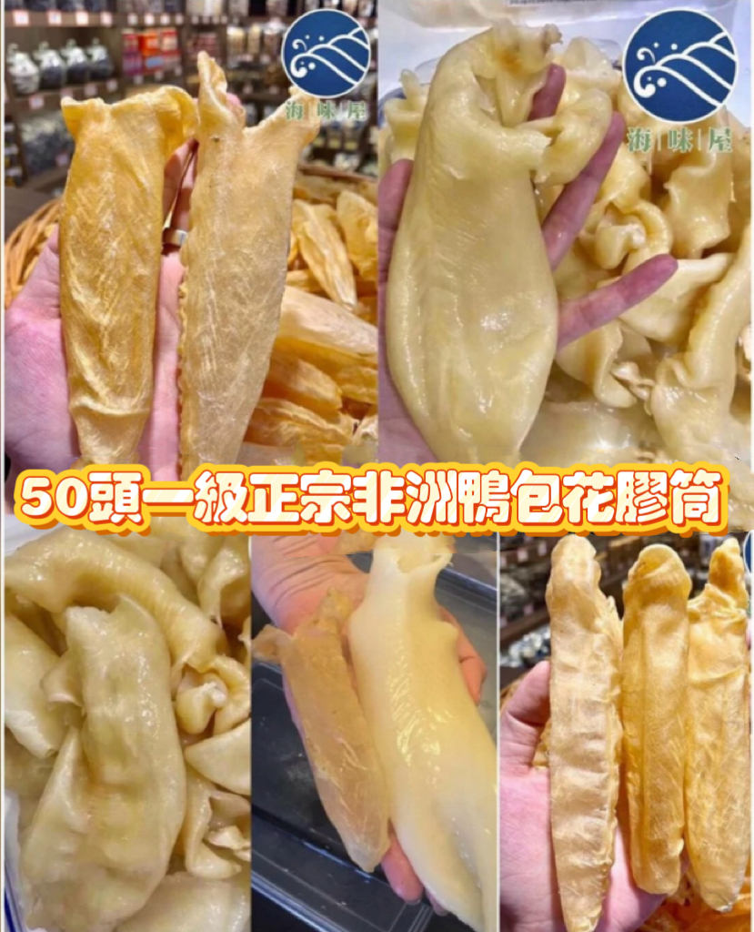 H20259 50頭一級正宗鴨包花膠筒100g (約8隻）