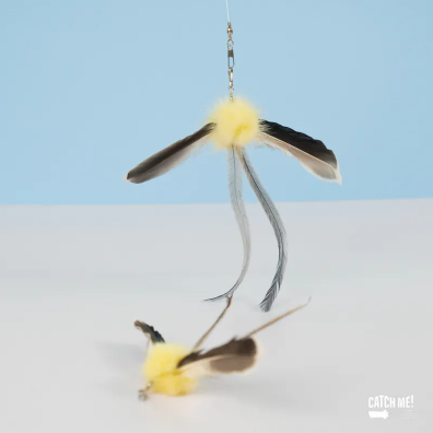 Catch Me!｜金絲雀