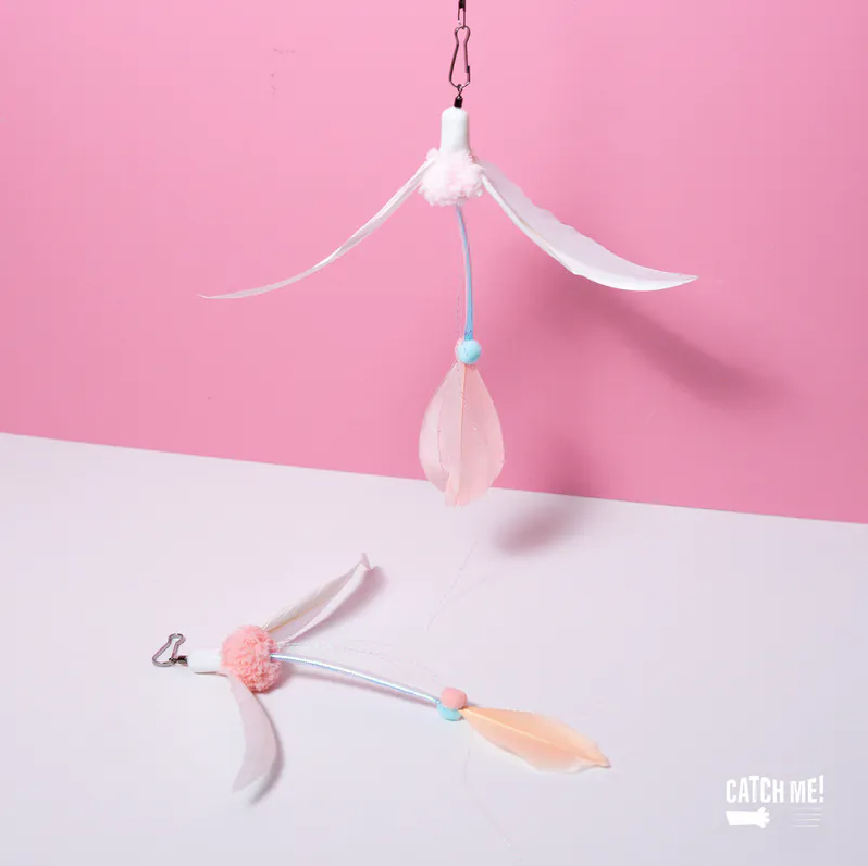 Catch Me!｜戀愛錦鯉