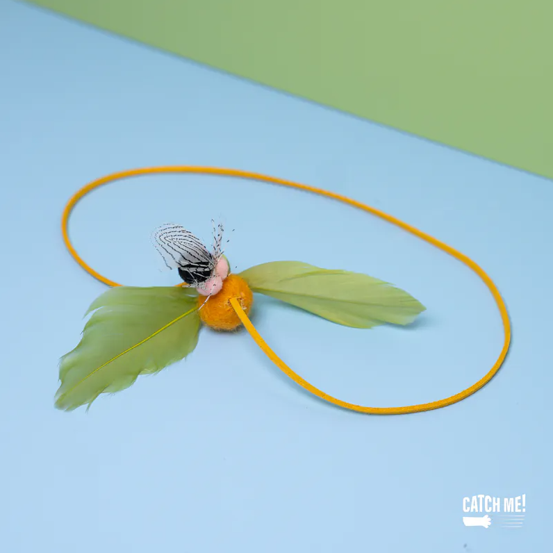 Catch Me!｜小柑橘與跟屁蟲