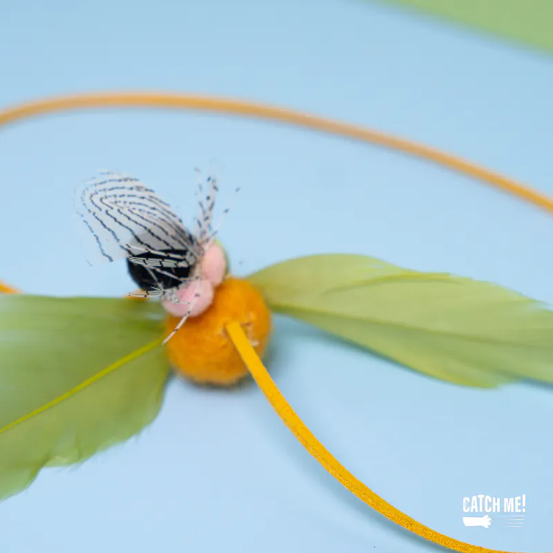 Catch Me!｜小柑橘與跟屁蟲