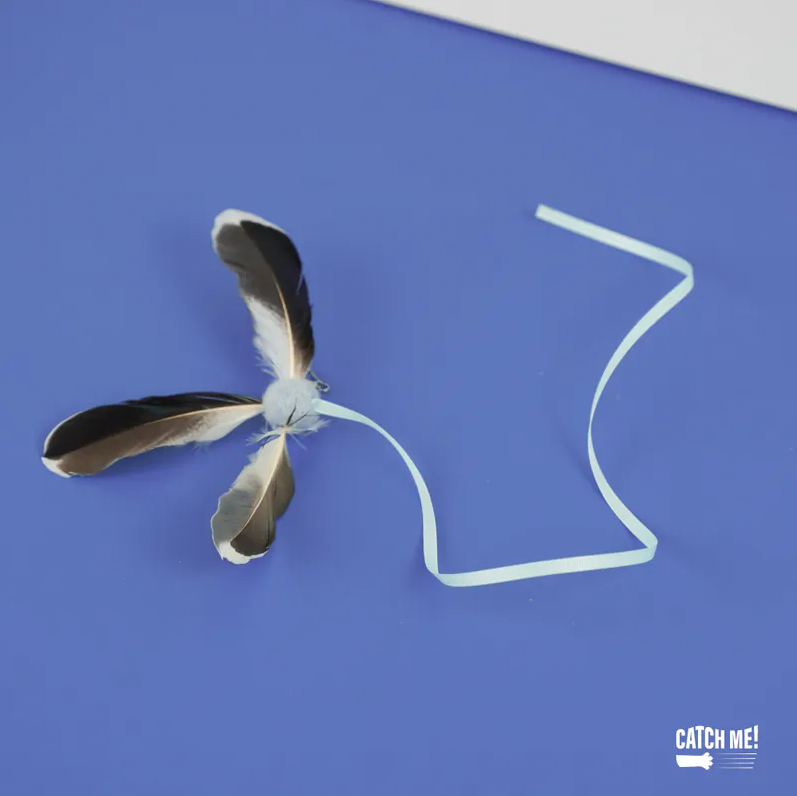 Catch Me!｜旋風鳥