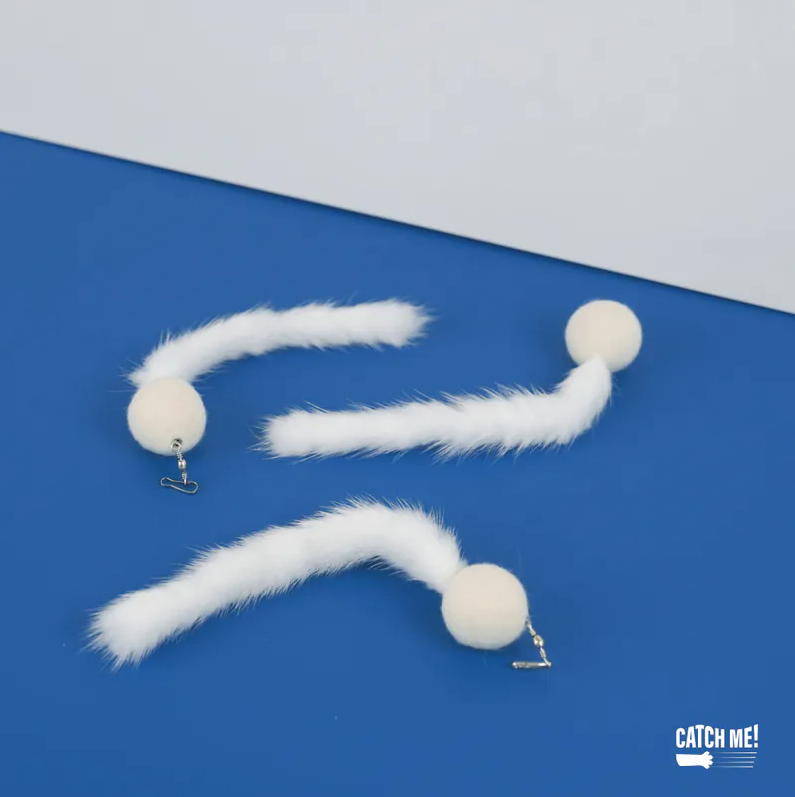 Catch Me!｜小雪貂