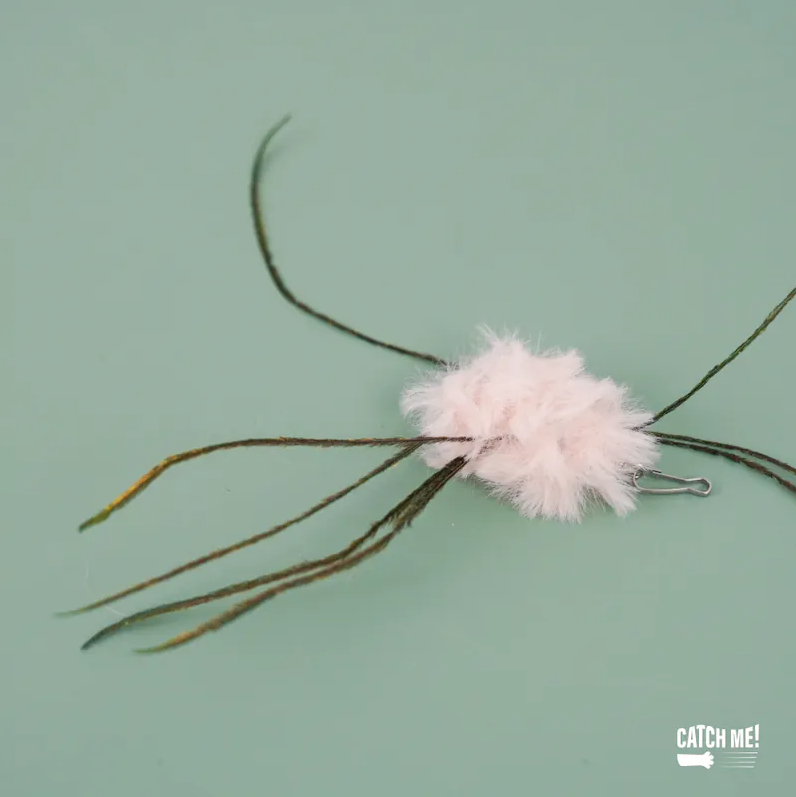 Catch Me!｜絨毛蜘蛛