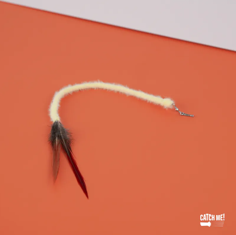 Catch Me!｜瘦身成功的炸蝦