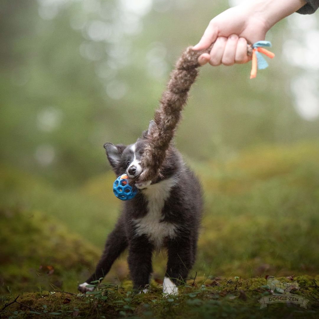 瑞典Doggie-Zen｜海狸羊毛絨編繩球玩具