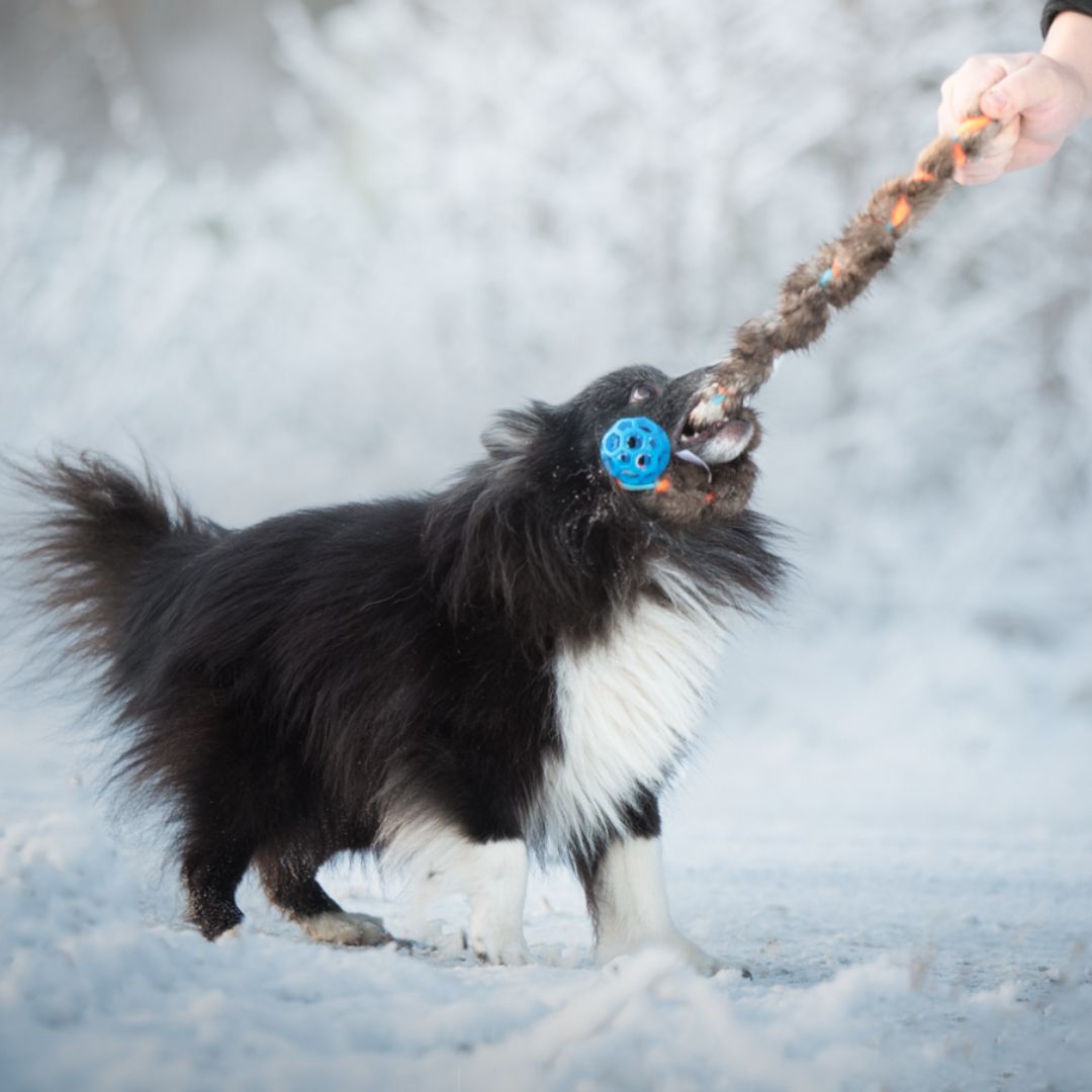 瑞典Doggie-Zen｜海狸羊毛絨編繩球玩具