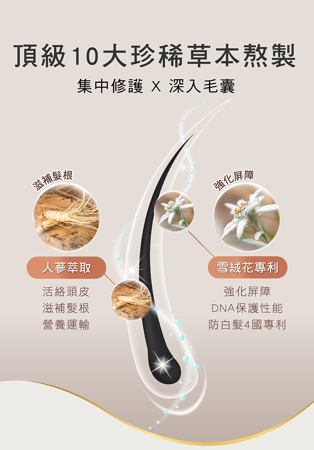 頂級10大珍稀草本熬製,集中修護,深入毛囊,滋補髮根,人蔘萃取,活絡頭皮,滋補髮根,營養運輸,強化屏障,雪絨花專利,強化屏障,DNA保護性能,防白髮4國專利