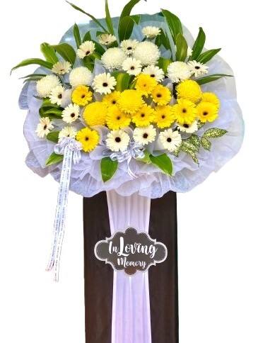 H79 ⭐⭐⭐⭐⭐member discount