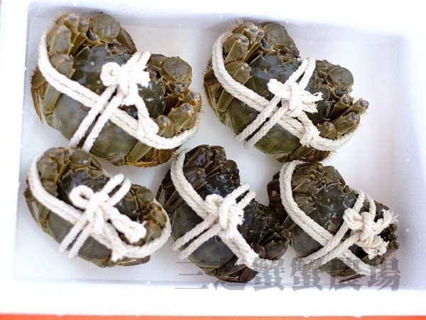 預購【10月22日(四)陸續發貨】三芝農會💮大閘蟹(公蟹)預購登場囉!