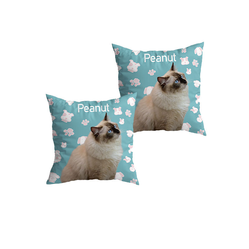 Cute Blue Paws Cushion