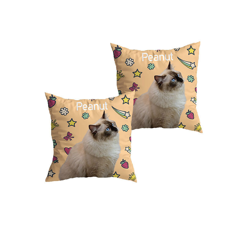 Glazed Soft Strawberry Cushion