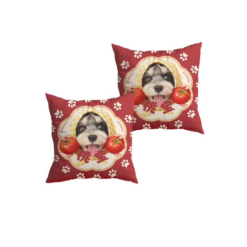 Fluffy Star Paws Cushion