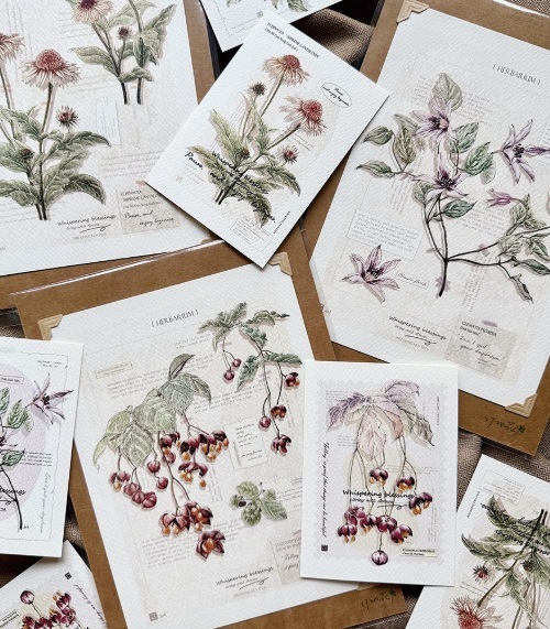 竹工凡花．秋季的呢喃祝福 插畫明信片 鐵線蓮/哈密瓜松果菊/垂絲衛矛