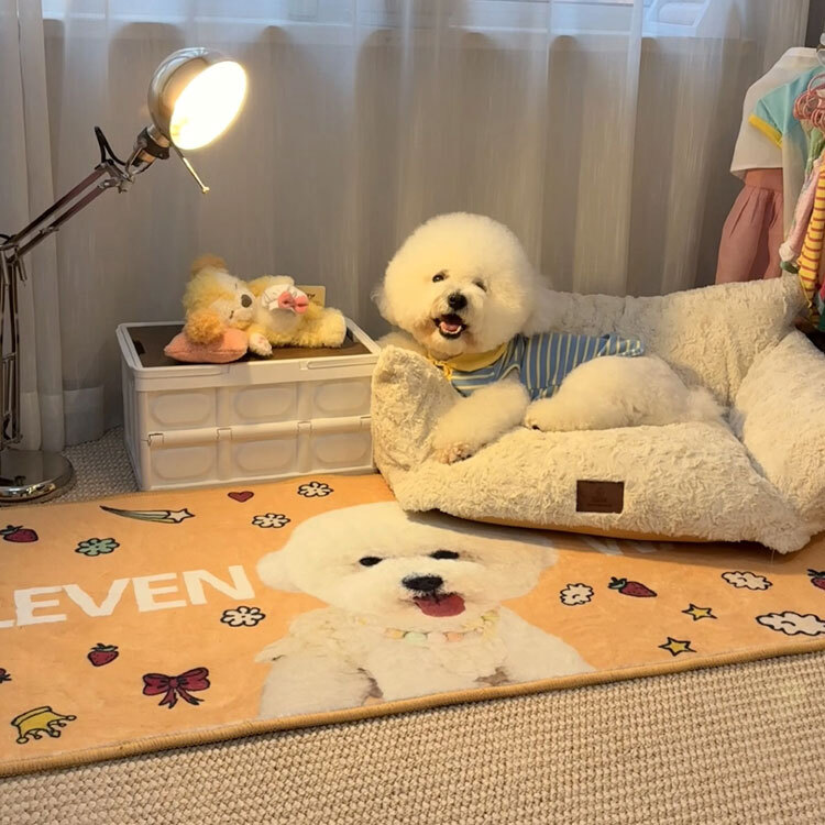 Glazed Soft Strawberry (Living Room / Bedroom Carpet)