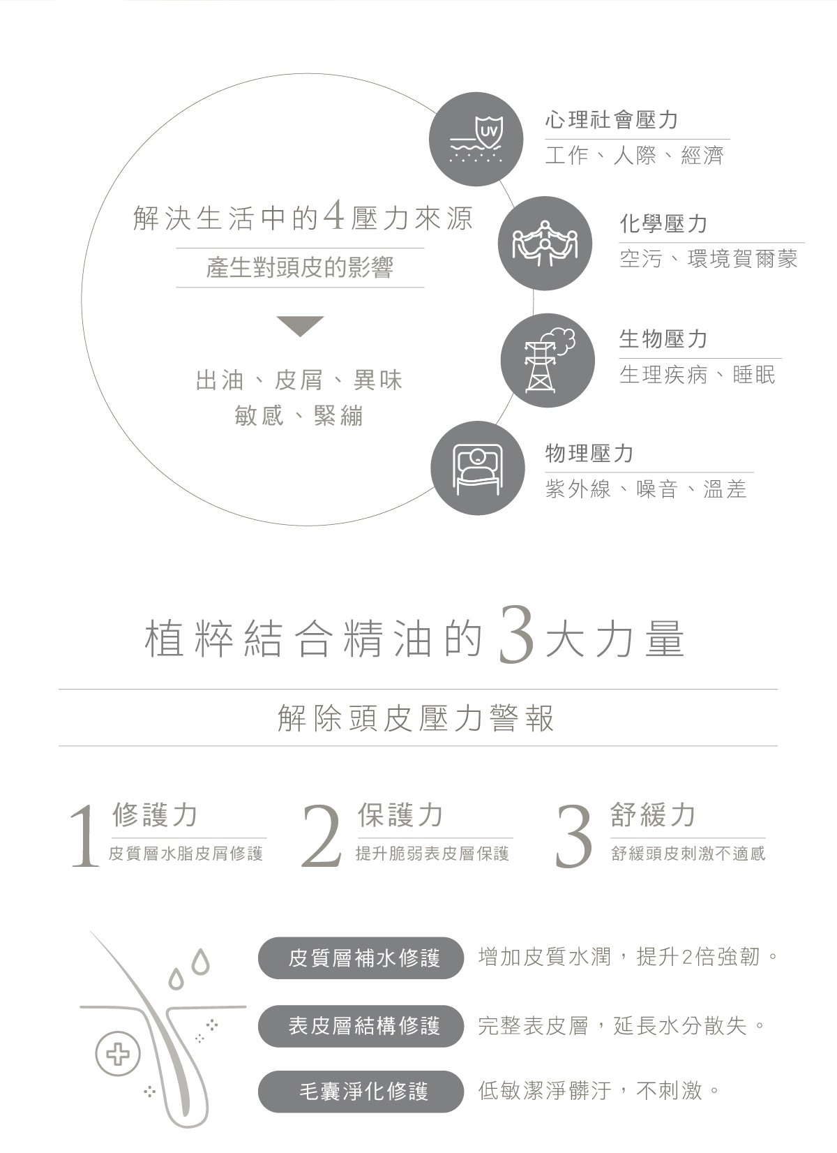 解決生活中的4壓力來源,產生對頭髮的影響,乾燥,毛躁,無光澤,觸感差,熱傷害,心理社會壓力,化學壓力,生物壓力,物理壓力,植粹結合精油的3大力量,解除頭髮稻草警報,修護力,保護力,光澤力,深入髮芯重整,表面滋養防護,髮絲強壯柔順