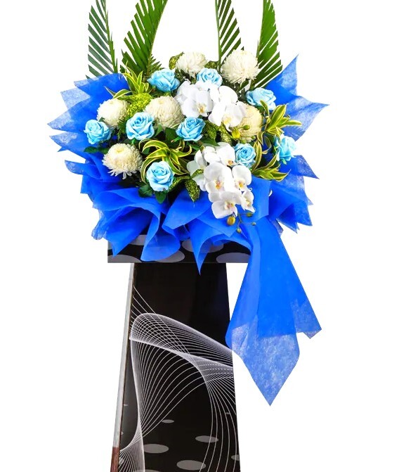 H280 ⭐⭐⭐⭐⭐member discount