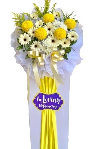 H272 ⭐⭐⭐⭐⭐member discount