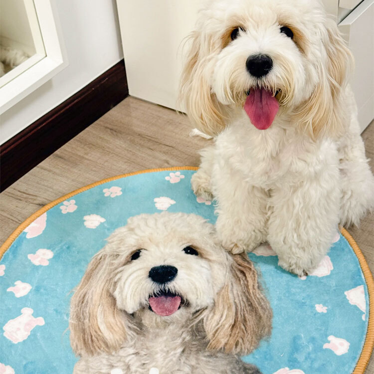 Cute Blue Paws( Round Carpet  )