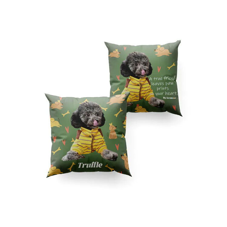 Emerald Fairyland Cushion