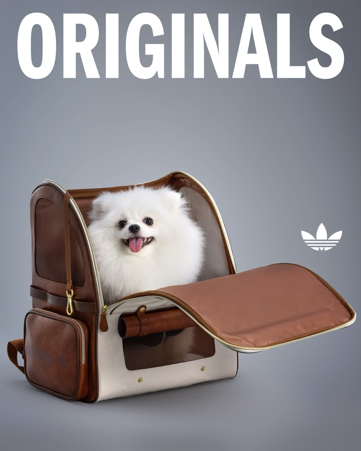 <國外限定>Adidas Originals 寵物外出包 復古皮革後背包