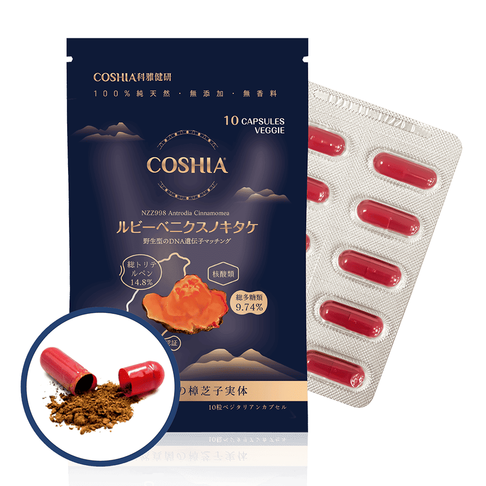 紅寶牛樟芝-萃取膠囊 (6入盒裝/共60粒)