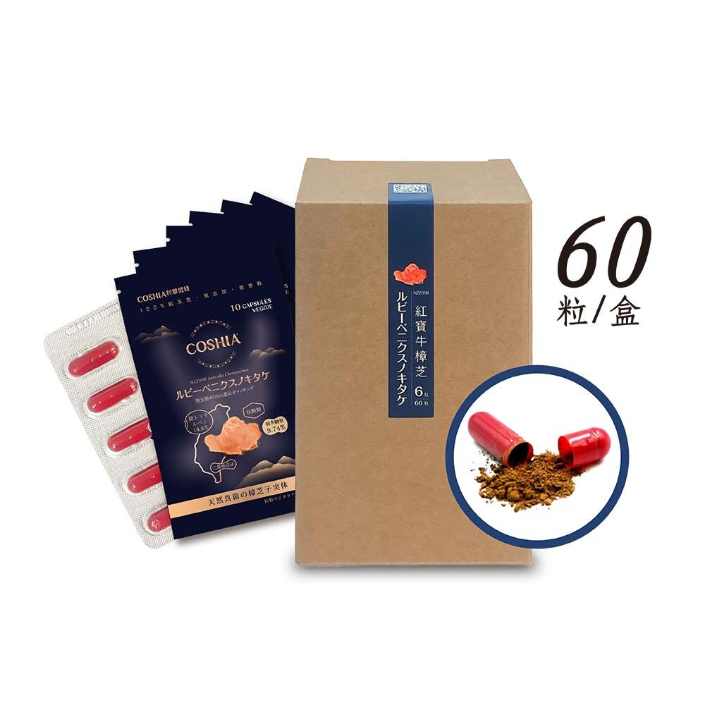 紅寶牛樟芝-萃取膠囊 (6入盒裝/共60粒)