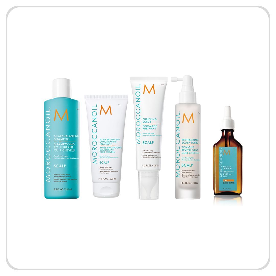 MOROCCANOIL 頭皮平衡系列