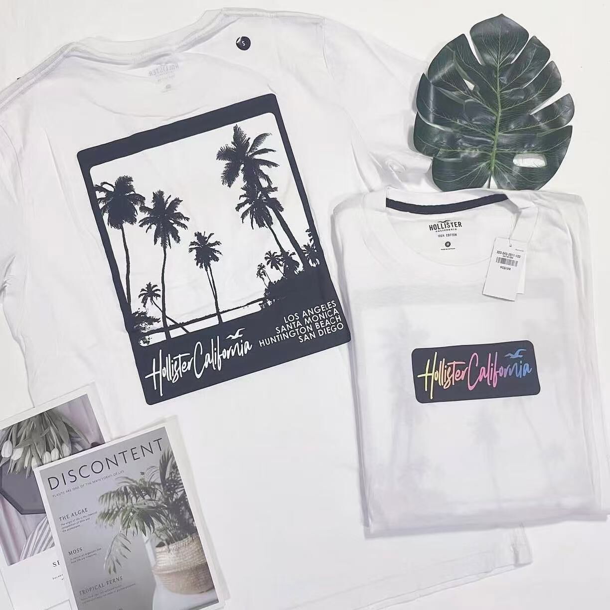 HOLLISTER PALM TREE  UV BACK PRINT TEE