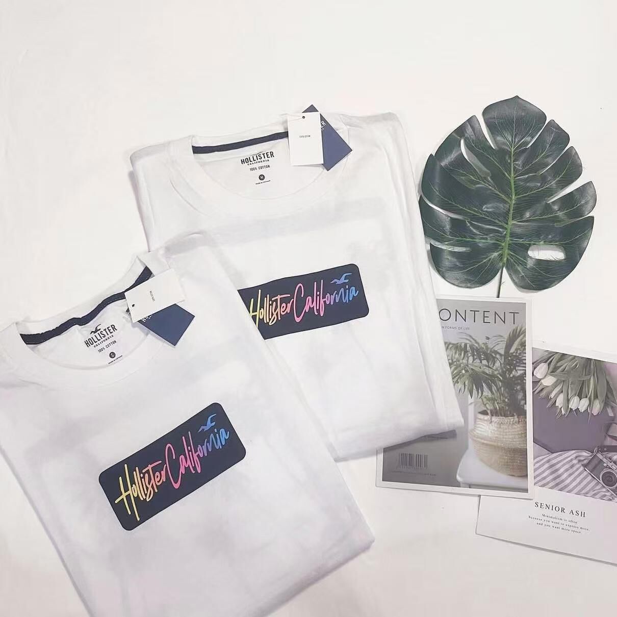 HOLLISTER PALM TREE  UV BACK PRINT TEE