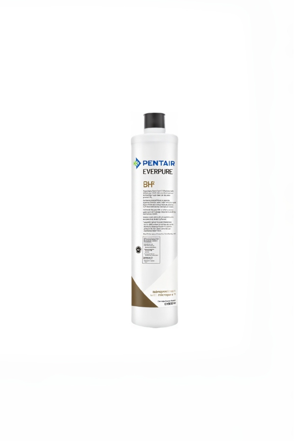 【EVERPURE愛惠浦】適用BH2複合濾芯｜每年更換