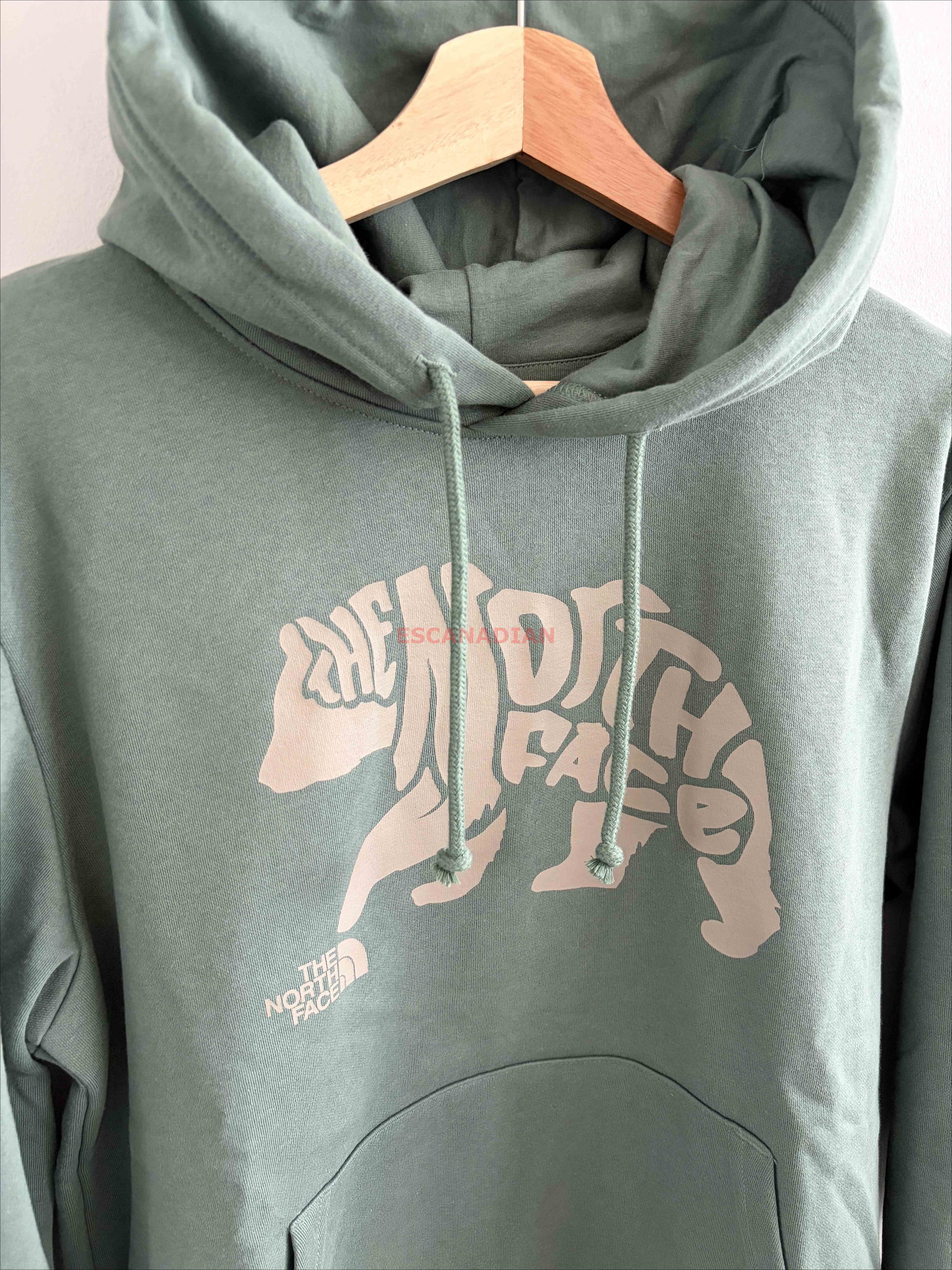 THE NORTH FACE 男大人 熊圖案 刷毛 帽TEE