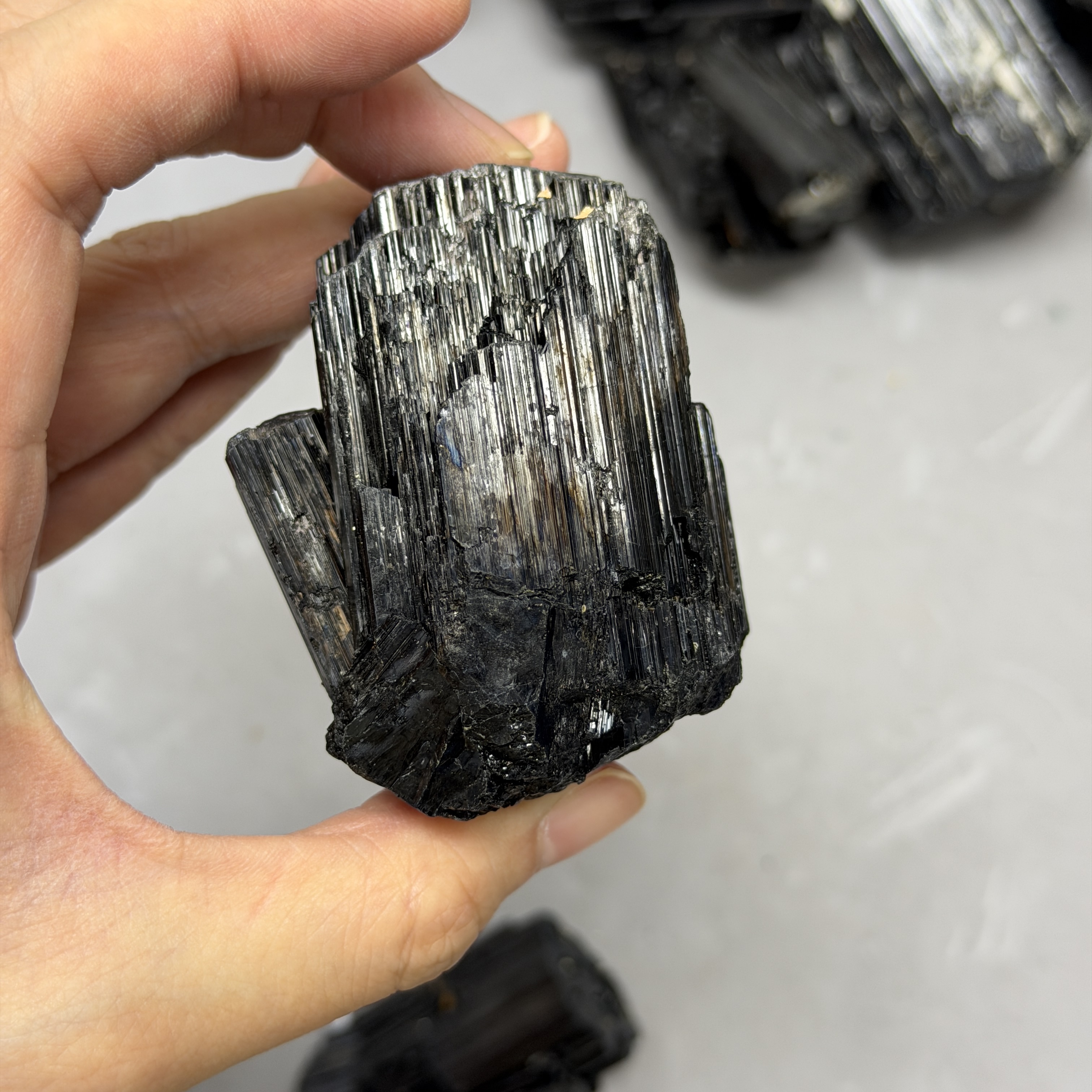 收藏品黑碧璽/電氣石礦標 TRR1766