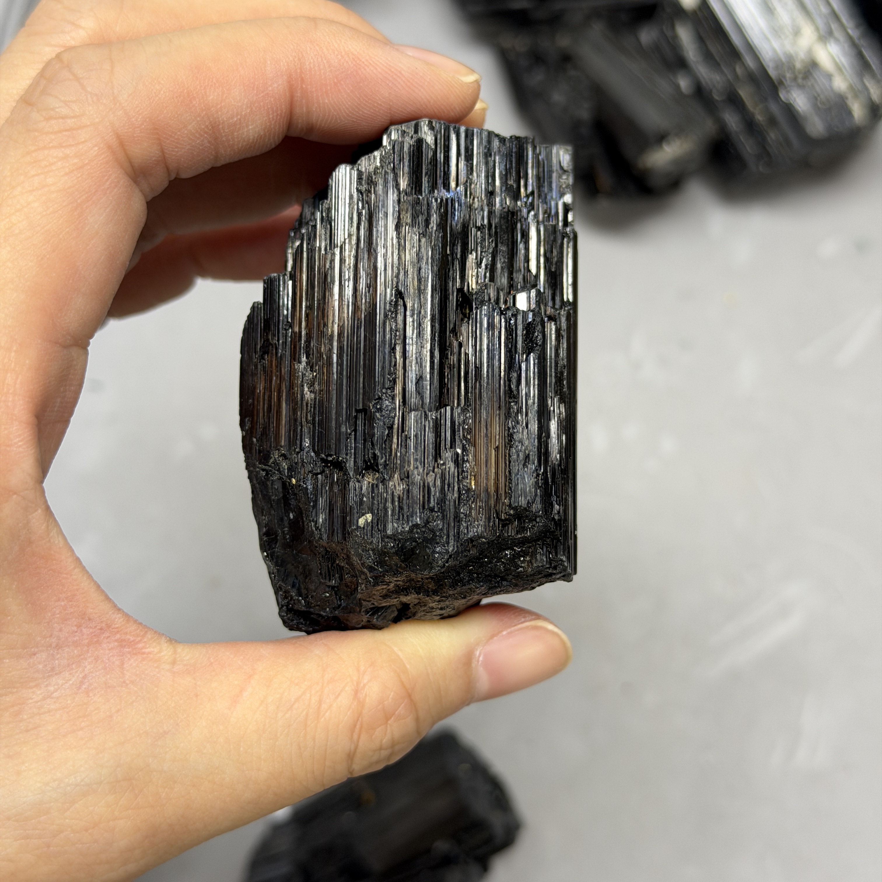 收藏品黑碧璽/電氣石礦標 TRR1766