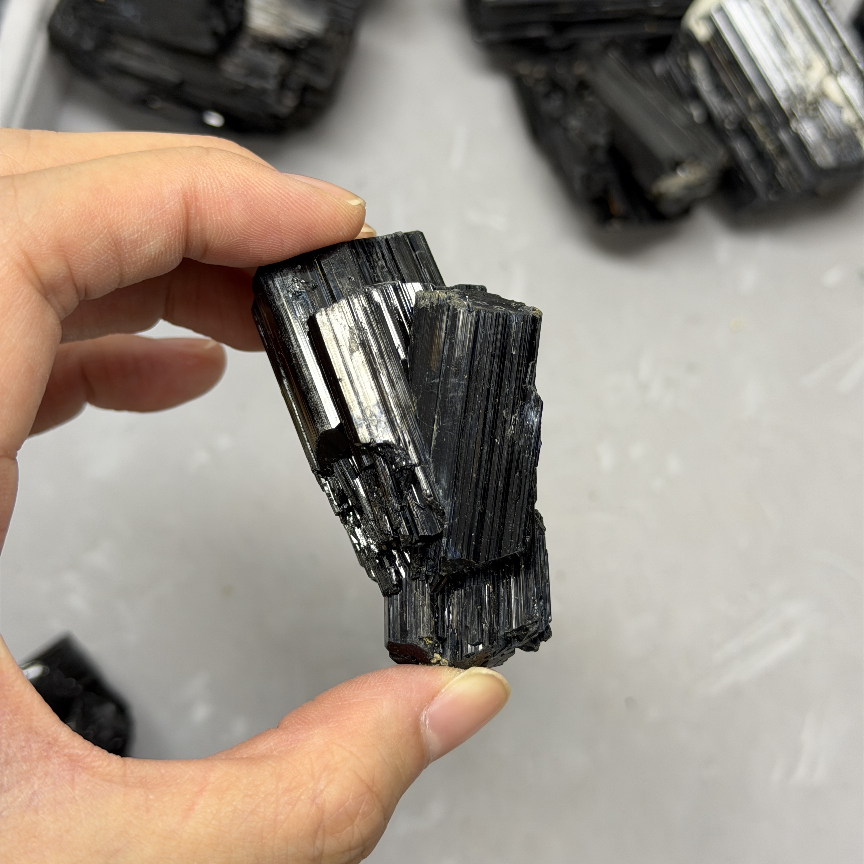 收藏品黑碧璽/電氣石礦標 TRR1765