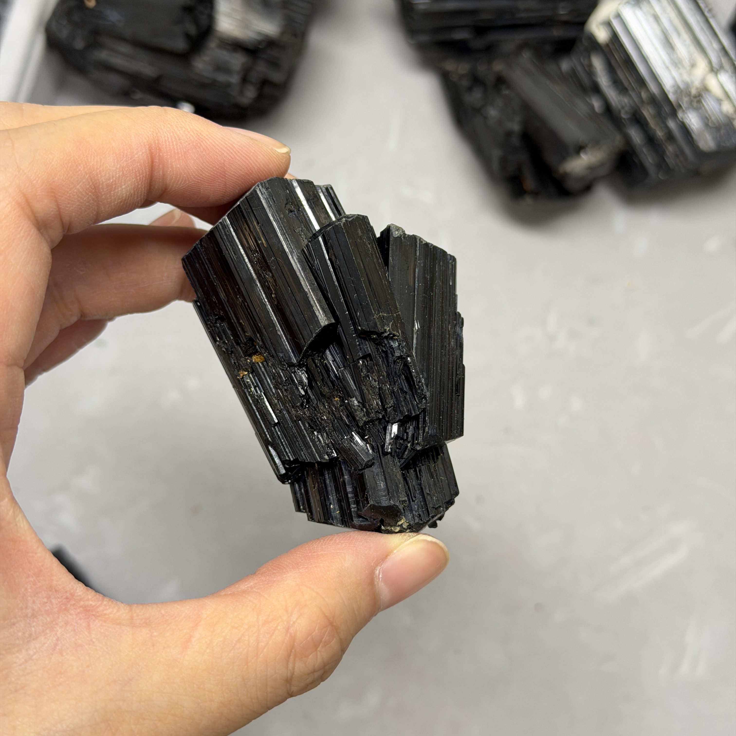 收藏品黑碧璽/電氣石礦標 TRR1765