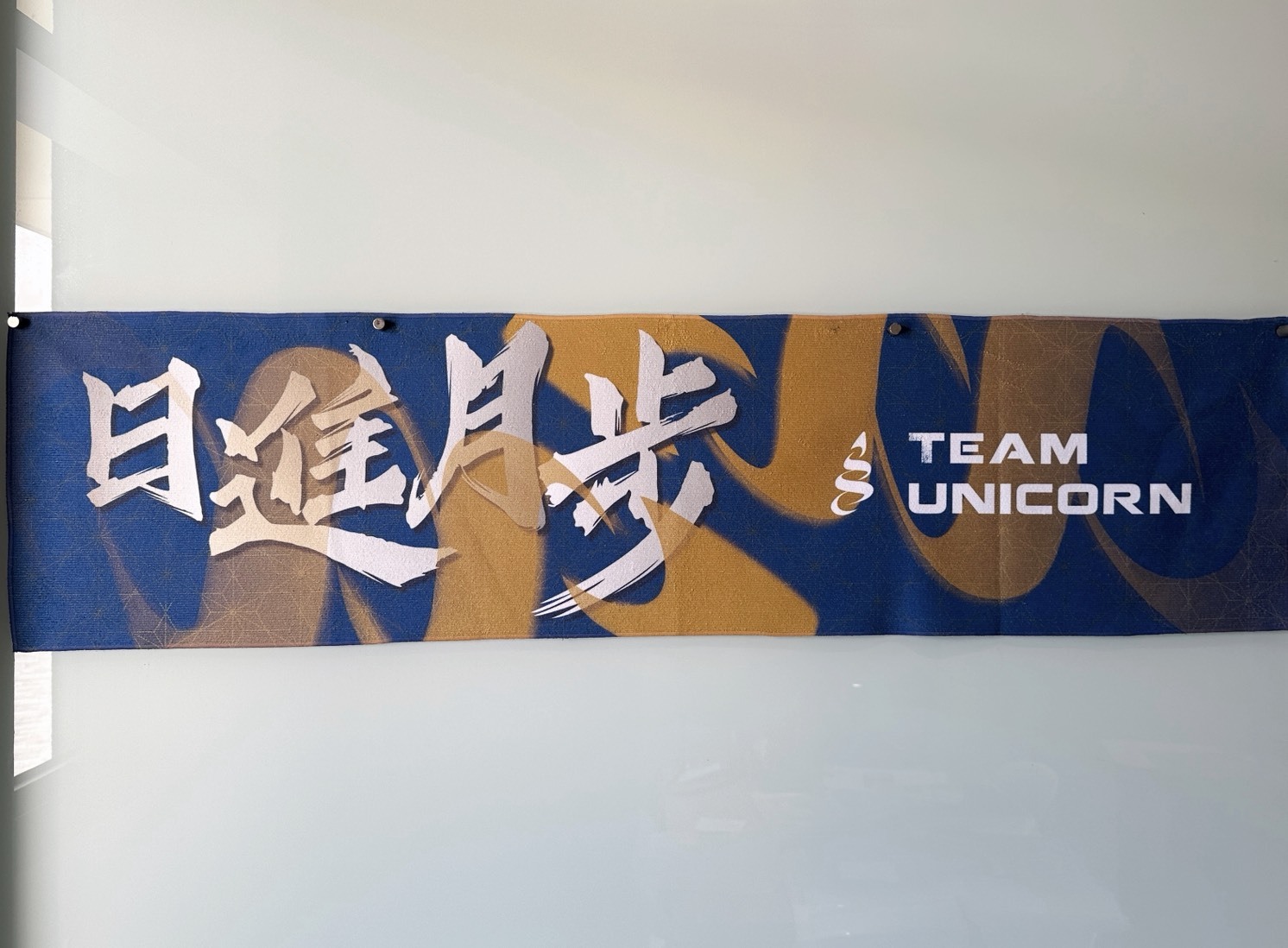Team Unicorn獨角獸精神 堅持到底 日進月步運動毛巾