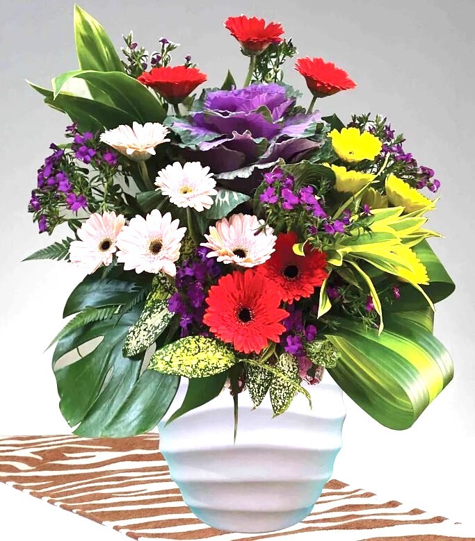 HFA43 ⭐⭐⭐⭐⭐MEMBER DISCOUNT