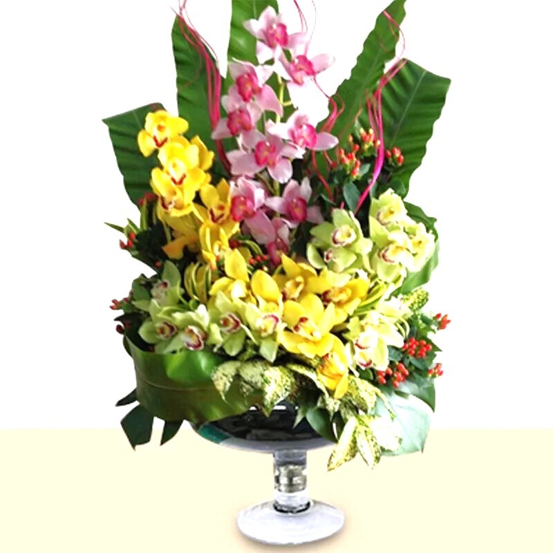 HFA36 ⭐⭐⭐⭐⭐MEMBER DISCOUNT