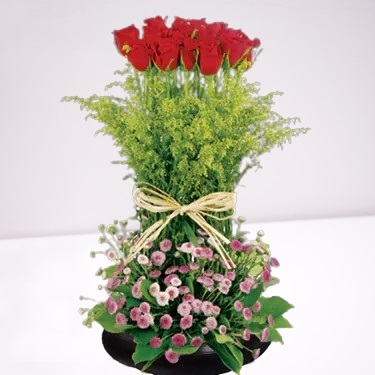 HFA08 ⭐⭐⭐⭐⭐FREE DELIVERY