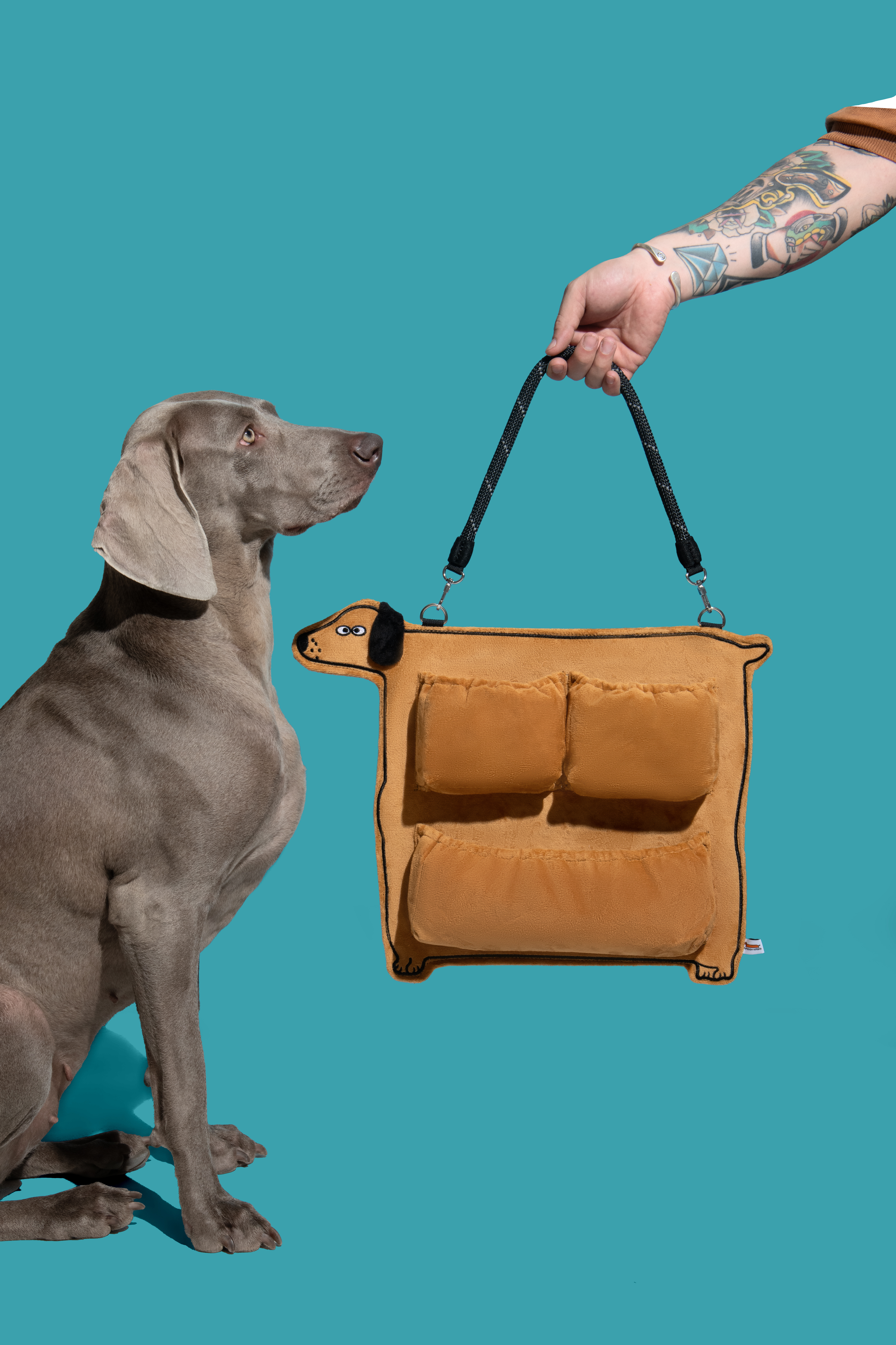 寵物用品收納 懸掛式門後掛包袋