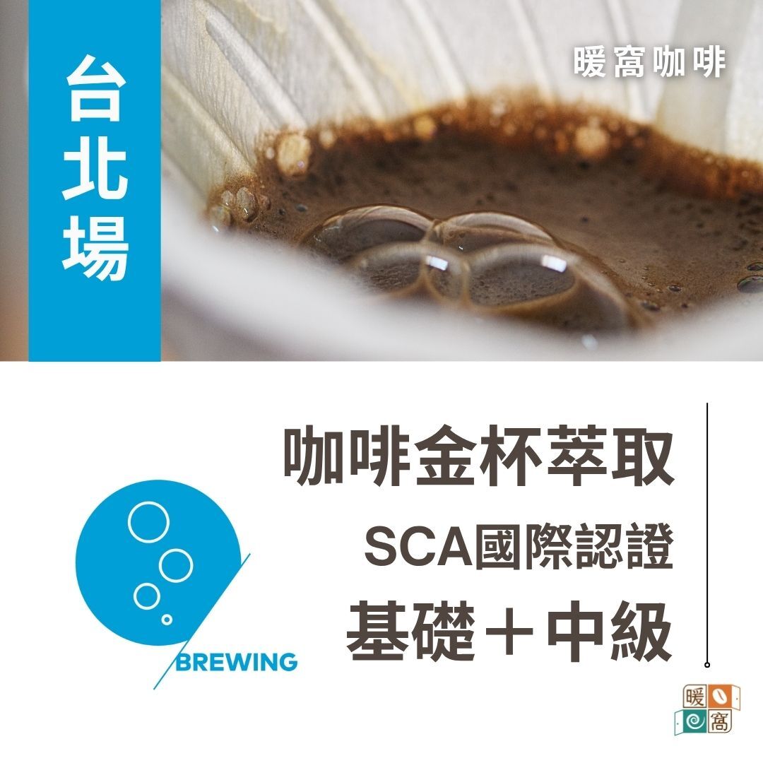 台北場｜SCA CSP Brewing 咖啡萃取(金杯)  基礎級.中級 國際咖啡證照課程