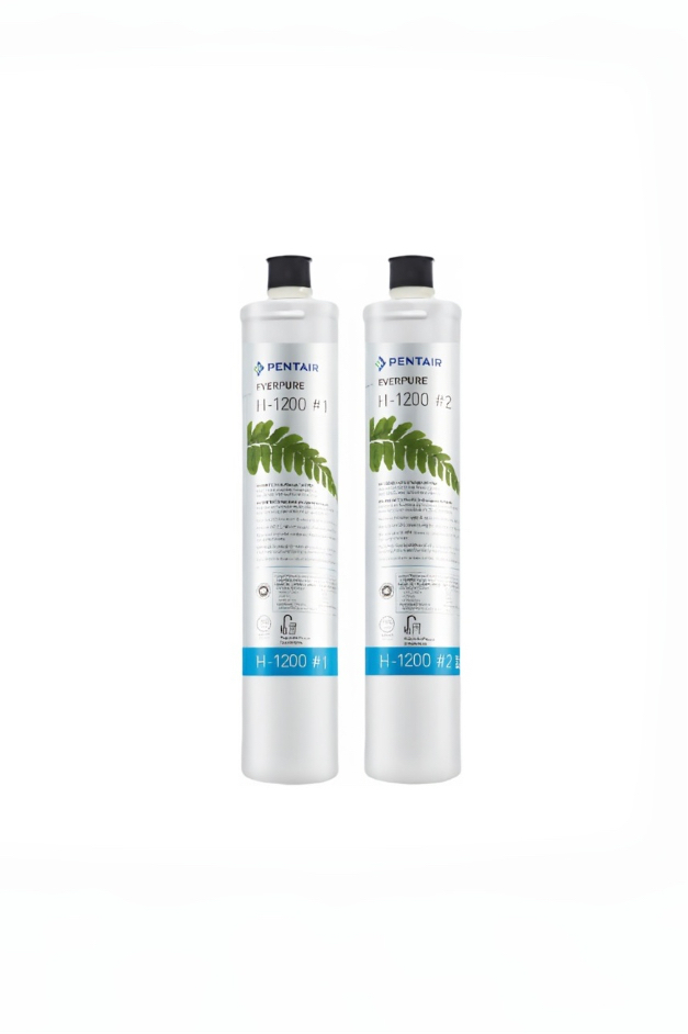 【EVERPURE愛惠浦】適用H1200極致濾芯｜每年更換