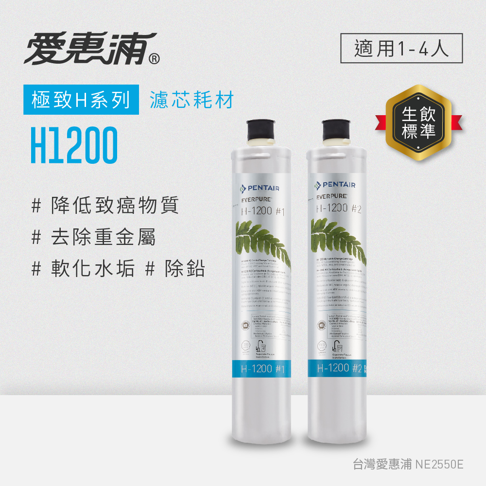 【EVERPURE愛惠浦】適用H1200極致濾芯｜每年更換
