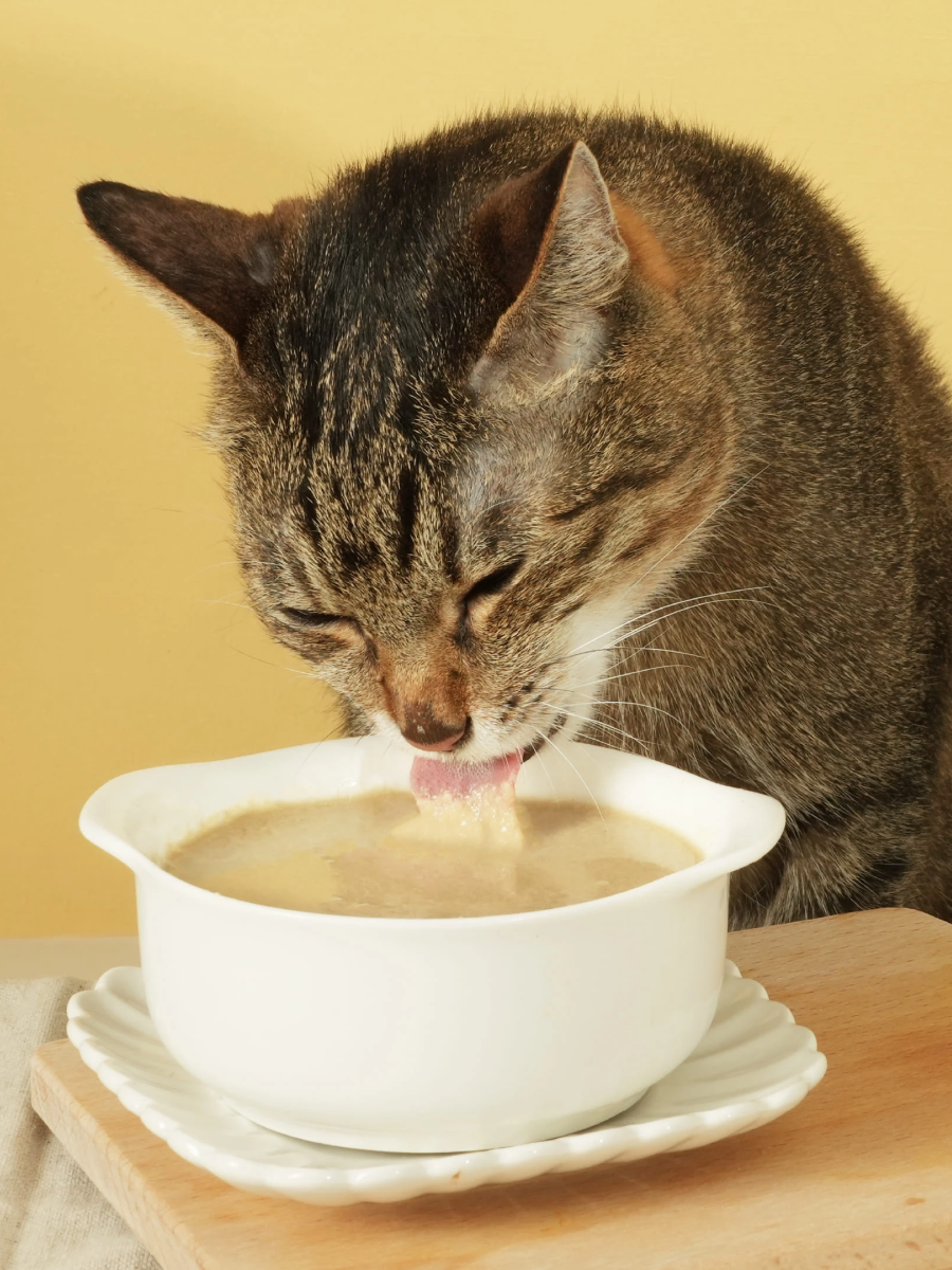 【汪喵星球】貓主食罐｜益菌PRO+ 綿密肉泥主食罐