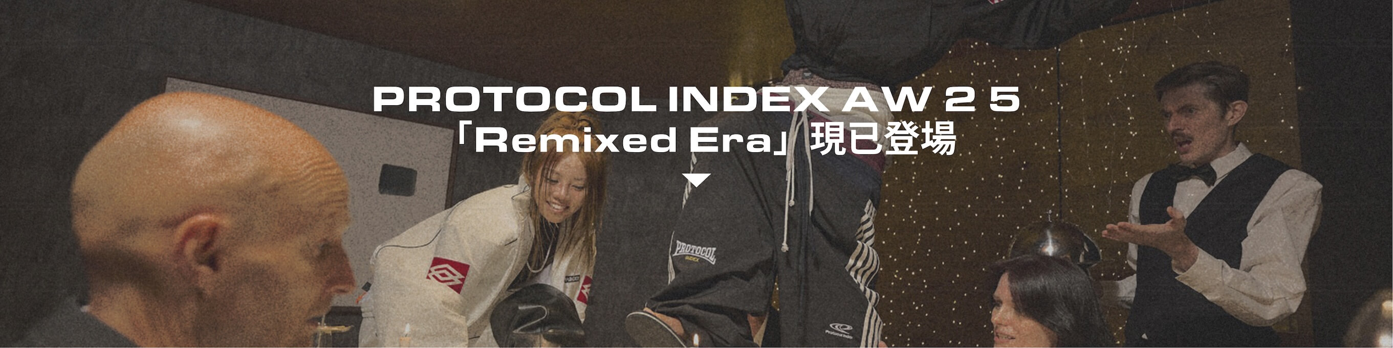 Protocol Index Banner