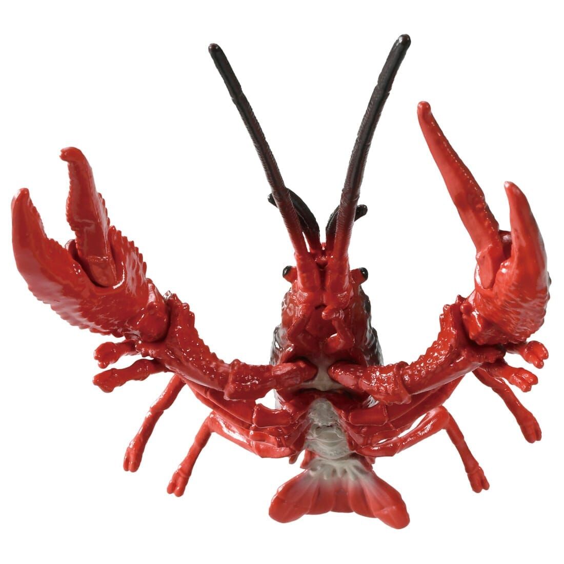 Takara Tomy Ania 模型 AL-31 紅色沼澤螯蝦