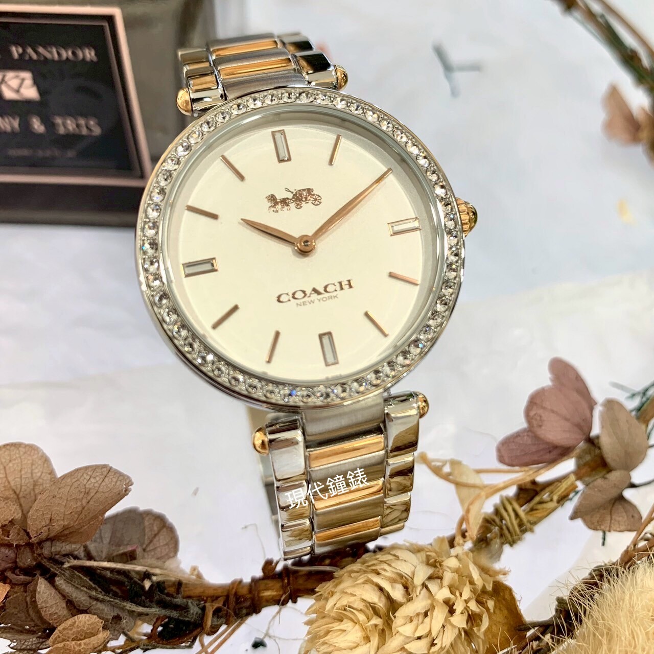 【COACH】經典馬車外圈鑽CO14503096  33mm 現代鐘錶