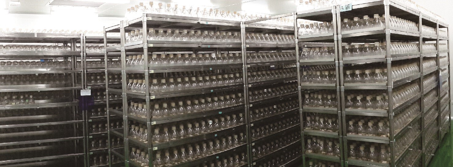 活力爪子研發團隊-中科廠固態培養室