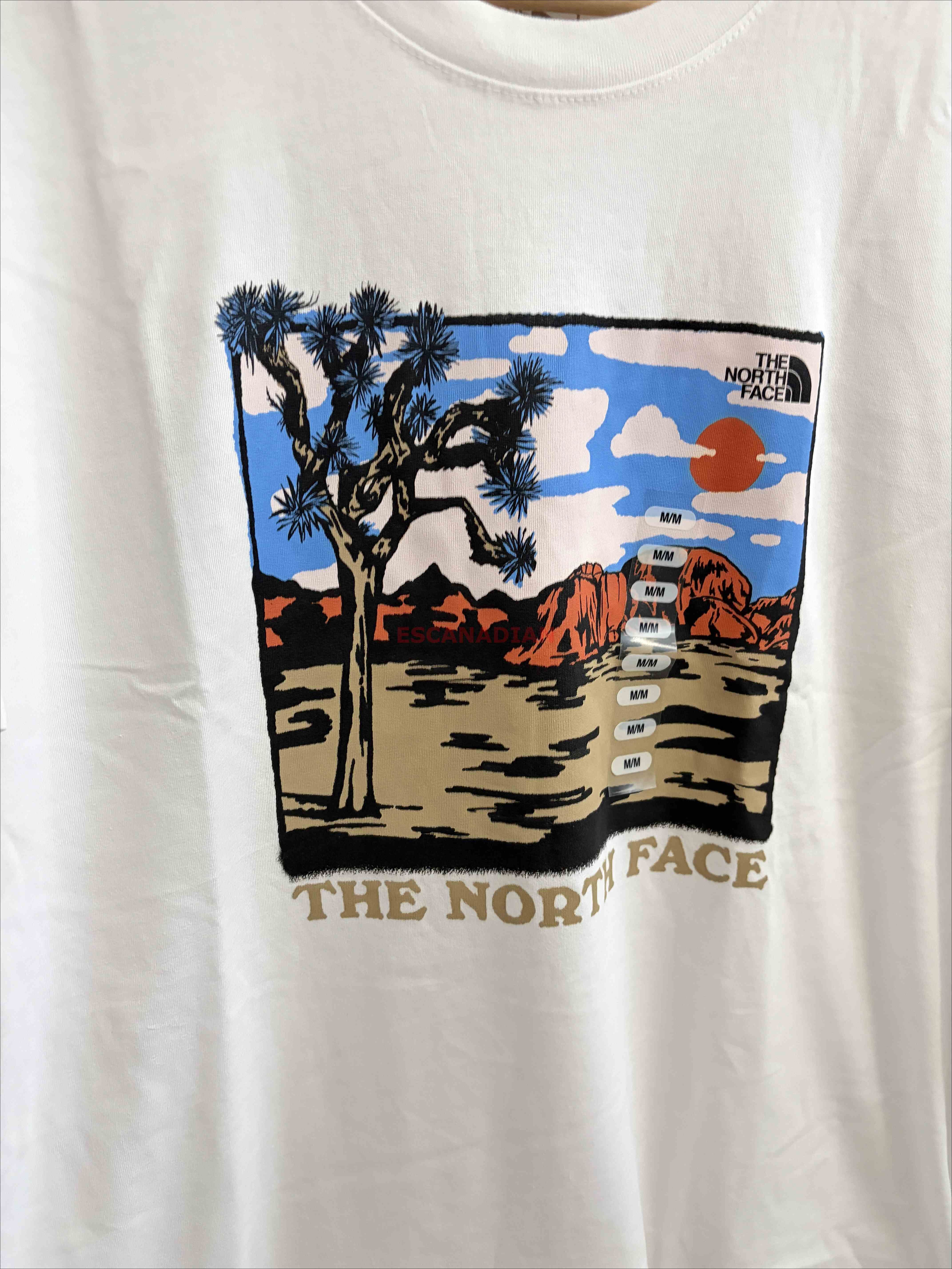 THE NORTH FACE 男大人 沙漠圖案 短TEE